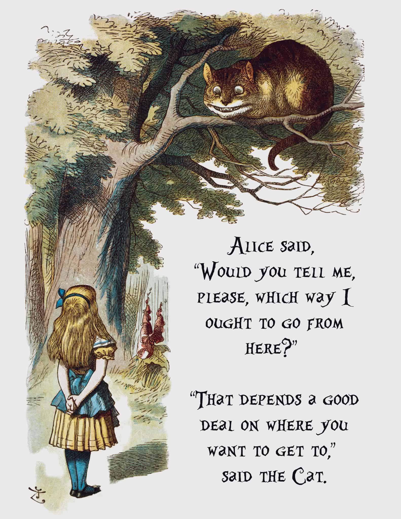 Alice where-to-go for brand positioning